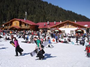 Weed in Bansko, Bulgaria