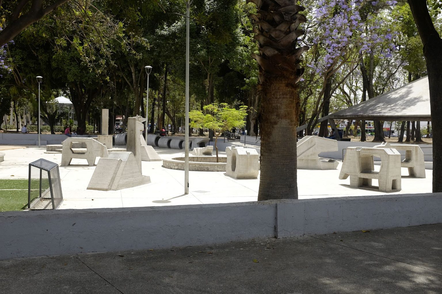 Weed in Guadalajara