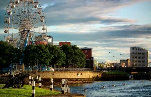 Weed in Limerick, Ireland