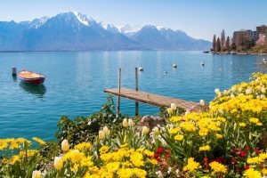 Finding Weed in Montreux, Switzerland