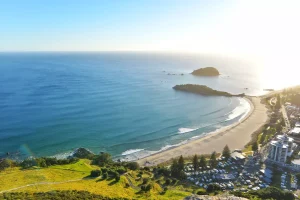 Buying Weed in Wellington, New Zealand