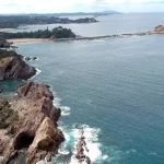 Weed in New South Wales