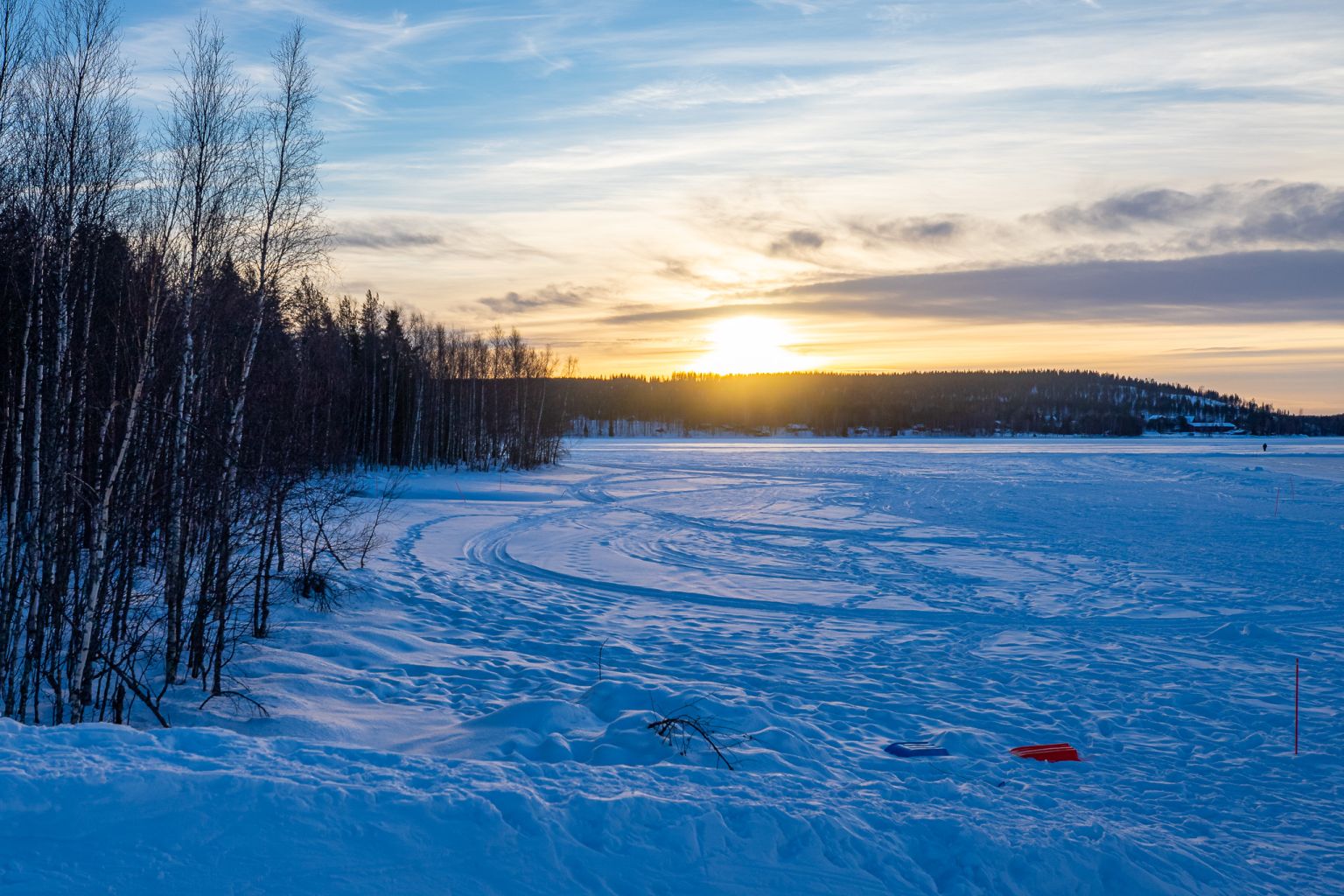 Weed in Rovaniemi