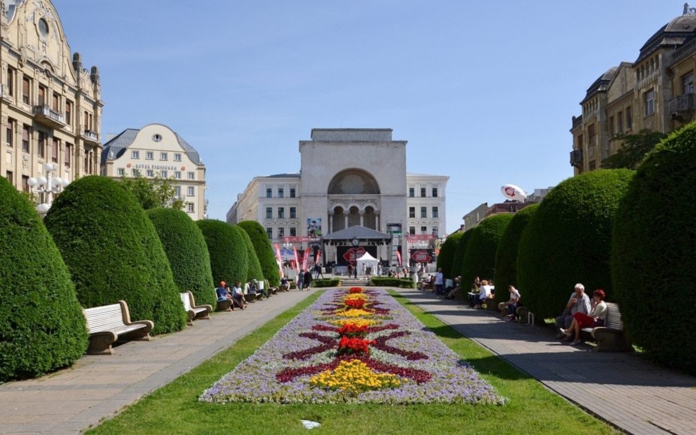 Weed in Timișoara, Romania