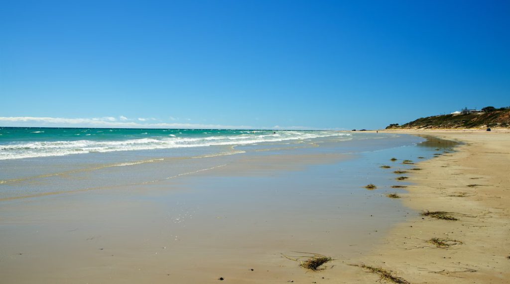 Cannabis travel in Aldinga Beach