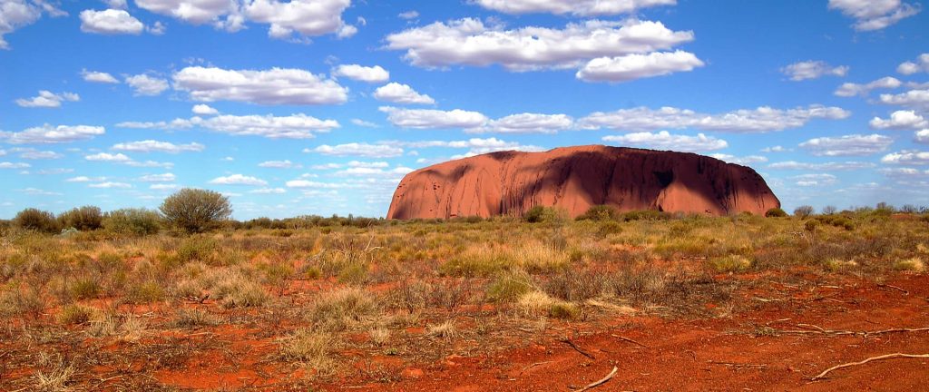 Weed in Alice Springs, Australia