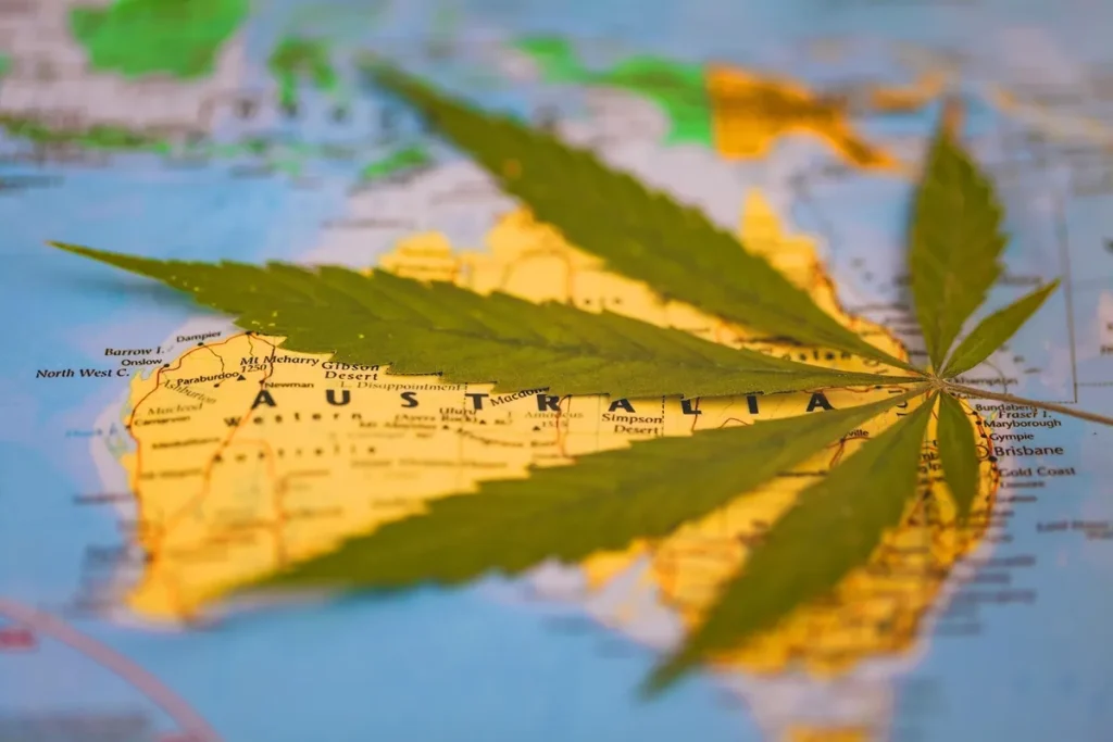 Getting Weed in Darwin, Australia