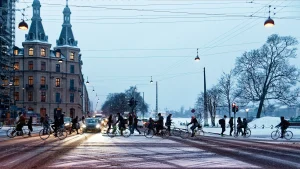 Find-Weed-in-Odense-Denmark
