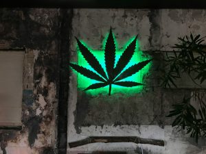 Get Weed in Palma, Spain