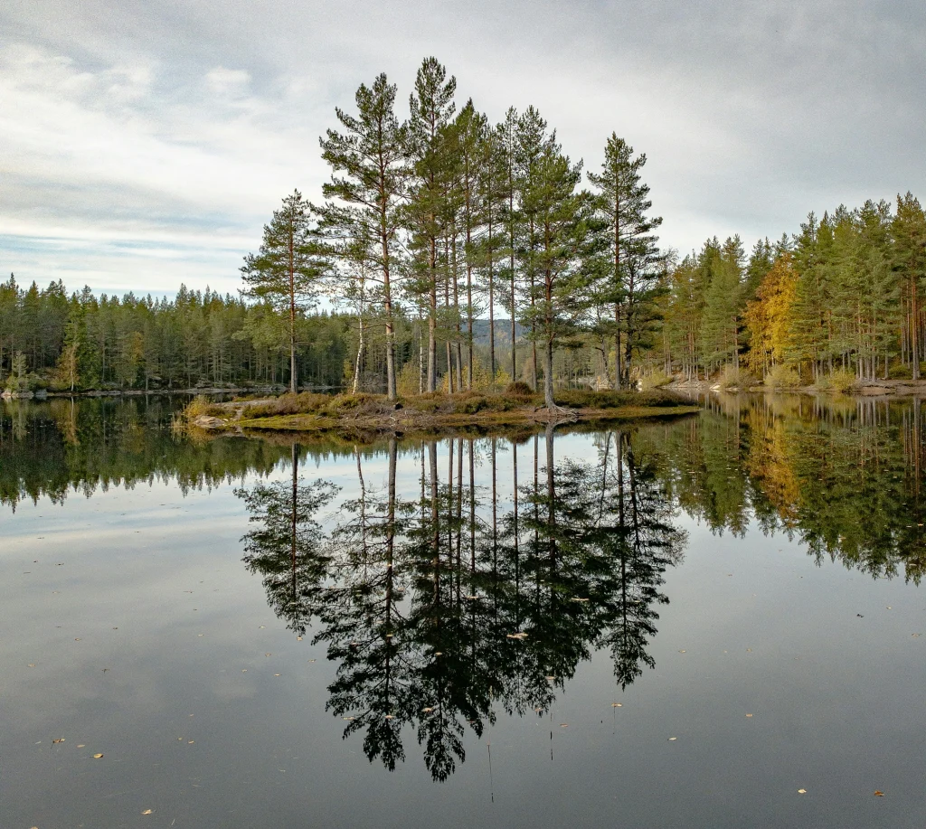 How to Get Weed in Karkkila, Finland