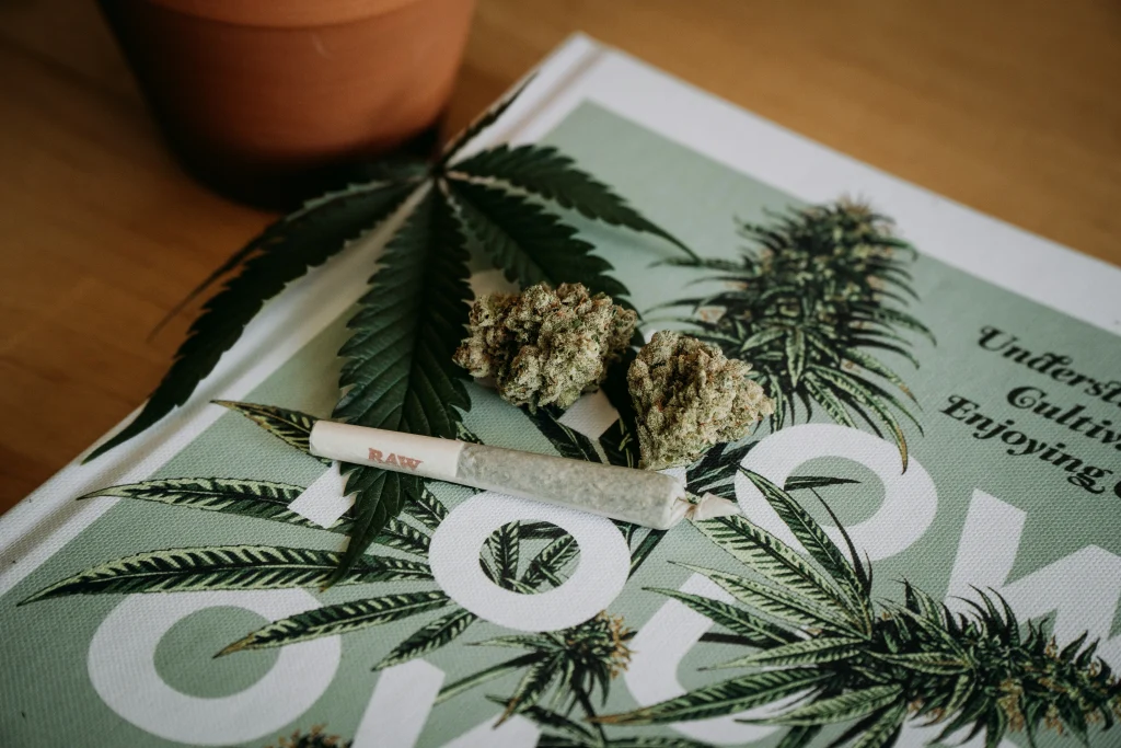 How to Get Weed in Karkkila, Finland