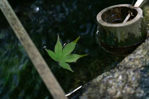 How to Find Weed in Marmaris, Turkey