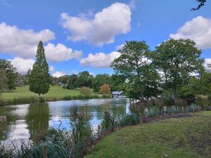 cannabis-laws-in-Tunbridge-Wells-UK-Class-B-drug-guide-2026