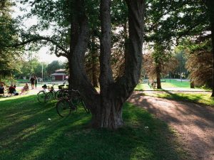 marijuana-laws-pori-finland-cannabis-travel-guide