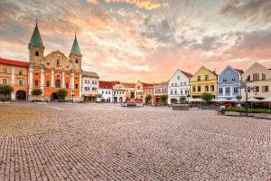 weed-in-Zilina-slovakia.