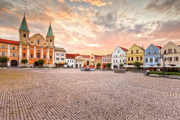 weed-in-Zilina-slovakia.